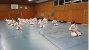 2015 karate 3